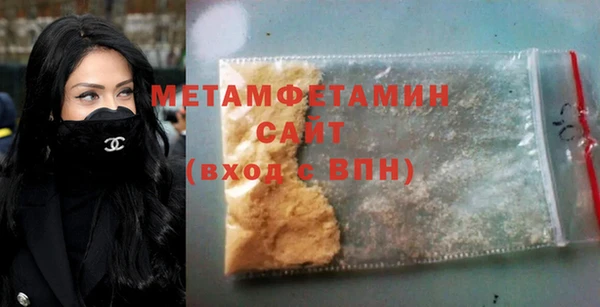 сатива Инта