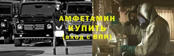 сатива Инта