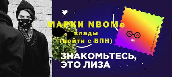 сатива Инта