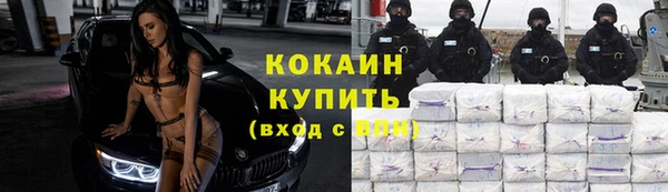сатива Инта