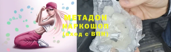 сатива Инта