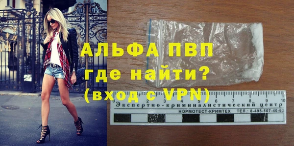 сатива Инта
