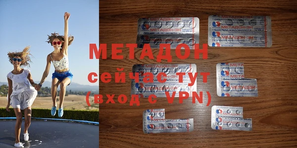 сатива Инта
