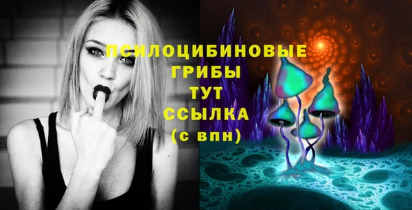сатива Инта