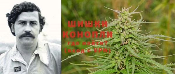 сатива Инта