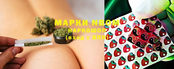 сатива Инта