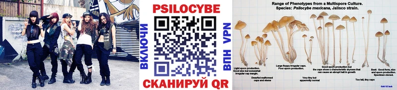 Купить где  Кириллов  Псилоцибиновые грибы Psilocybe 
